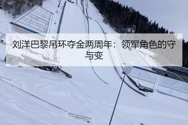刘洋巴黎吊环夺金两周年：领军角色的守与变